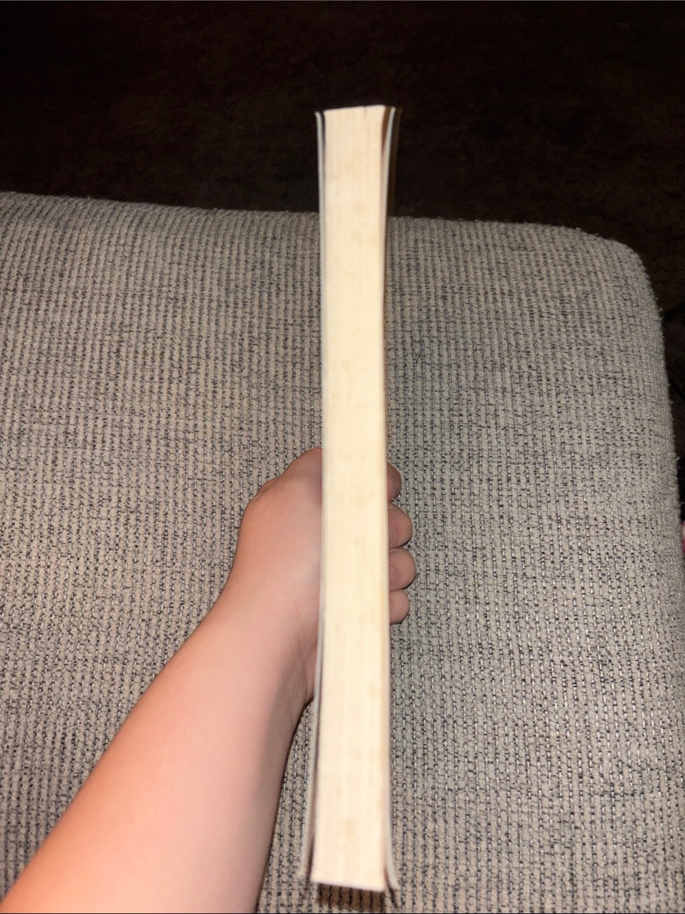 Sarah Dessen - Picture 3 of 3
